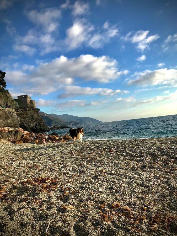 Ca Lea Beach House Monterosso al Mare Dış mekan fotoğraf